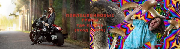 дживик Армянск